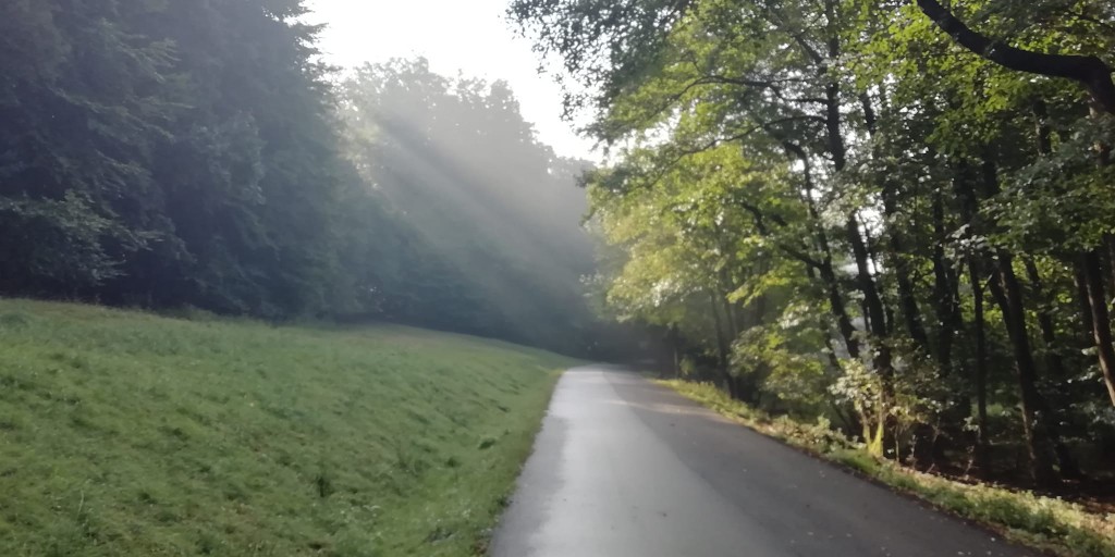 ranný beh